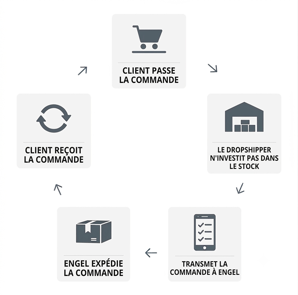 Schéma de fonctionnement du dropshipping — Nova Engel