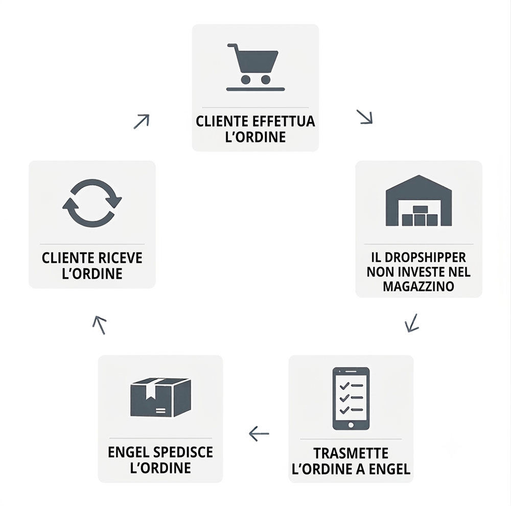 Schema di funzionamento del dropshipping — Nova Engel