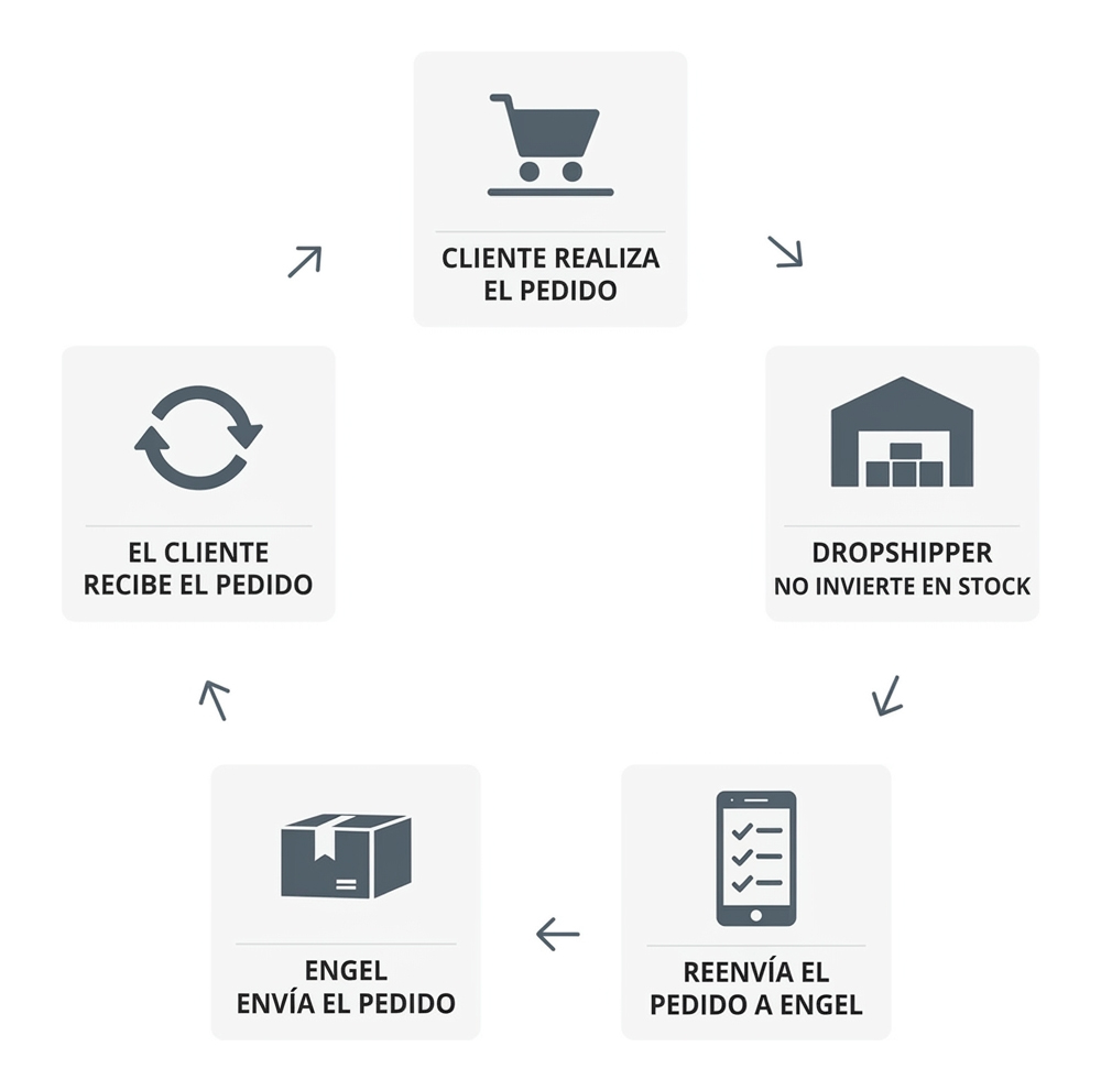 Esquema de funcionamiento del dropshipping — Nova Engel